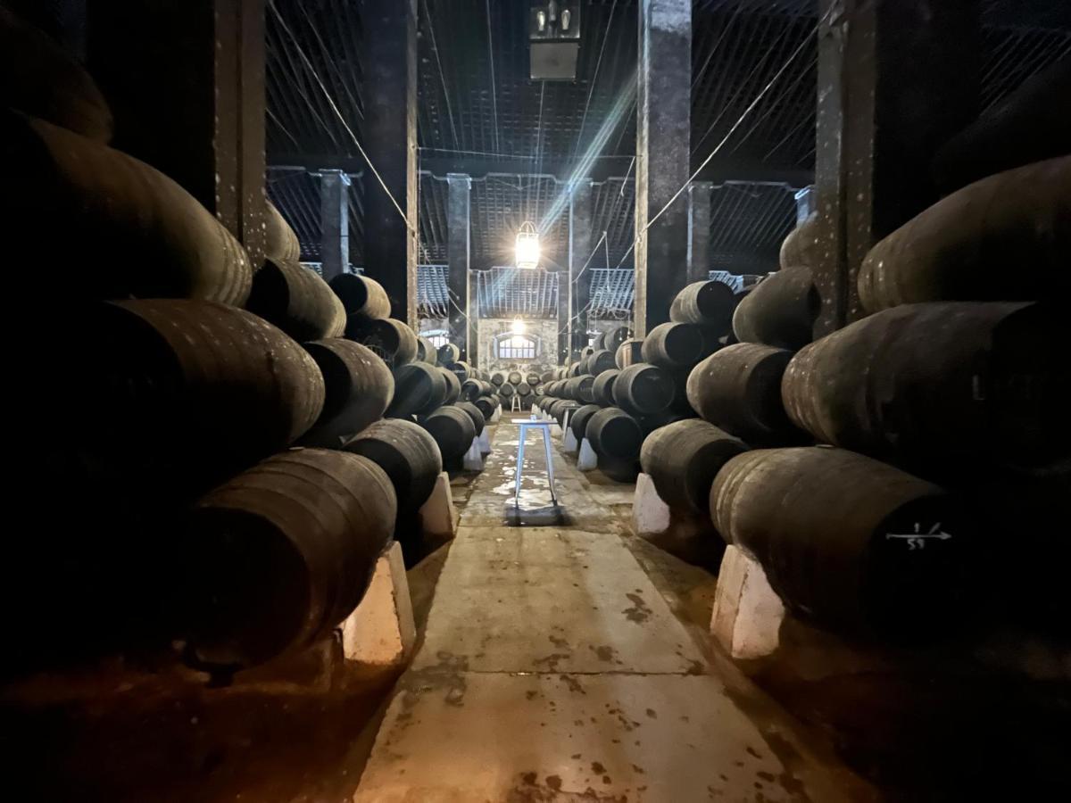 En Sanlucar Appartamento Sanlúcar de Barrameda Esterno foto